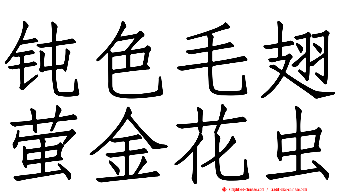钝色毛翅萤金花虫