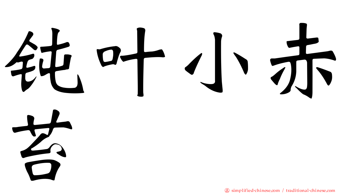 钝叶小赤苔
