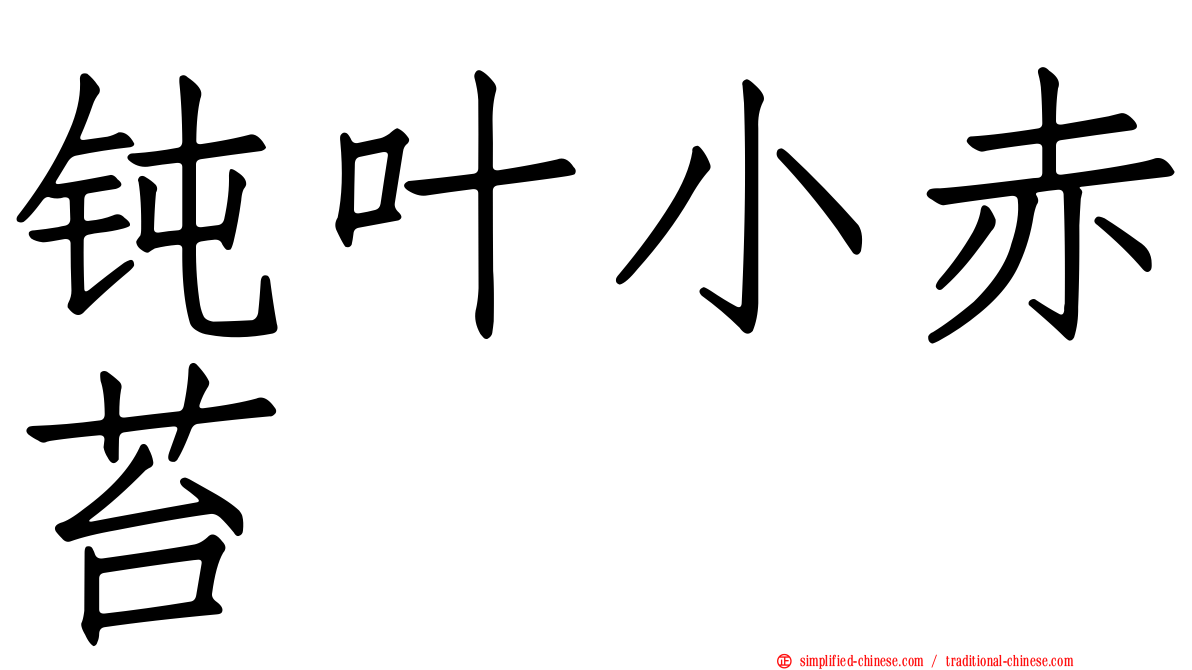 钝叶小赤苔