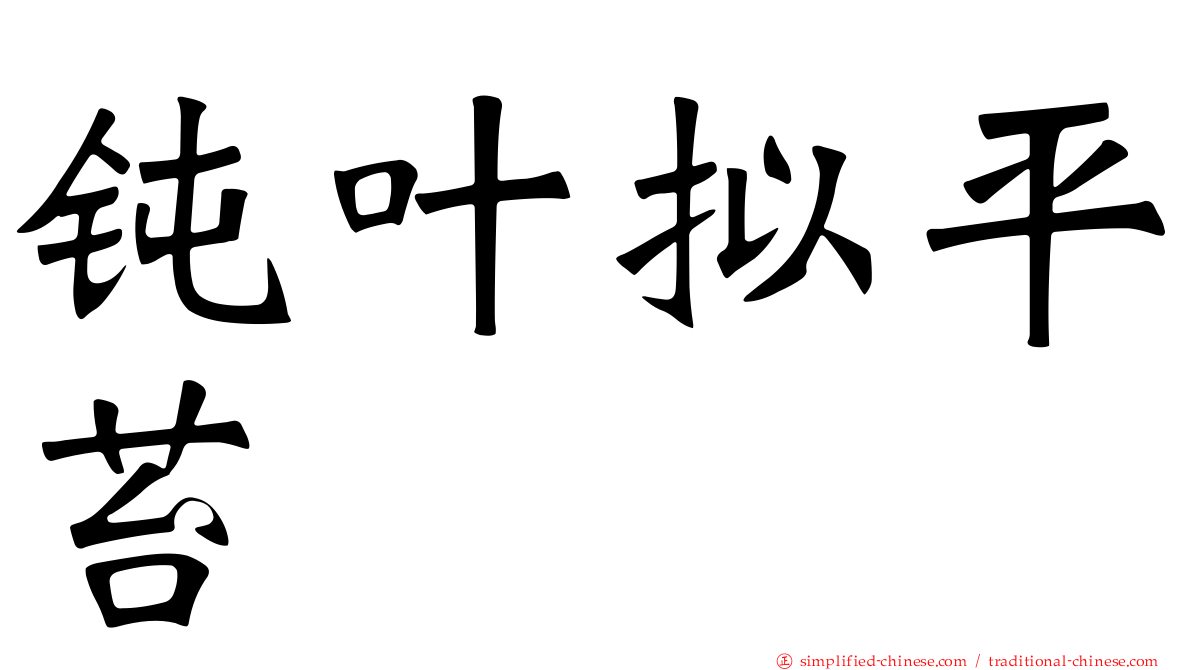 钝叶拟平苔