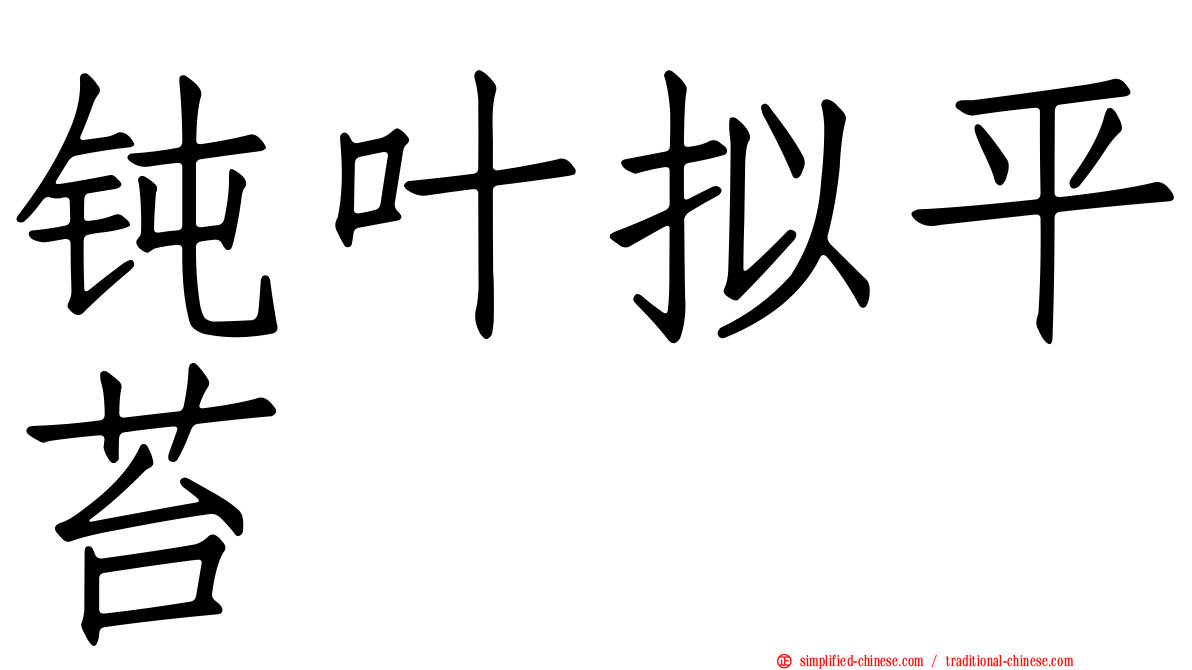 钝叶拟平苔