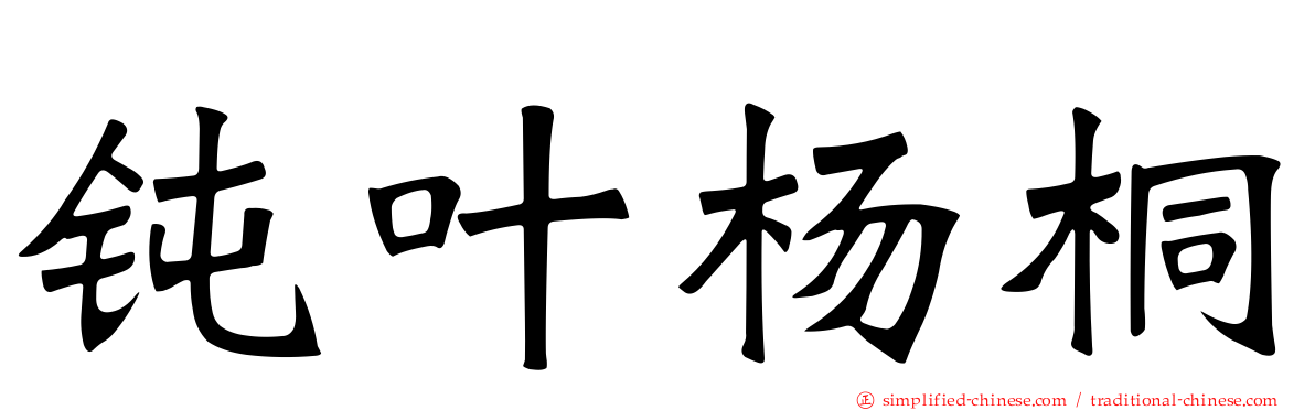 钝叶杨桐