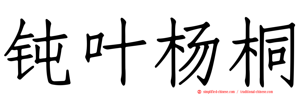 钝叶杨桐