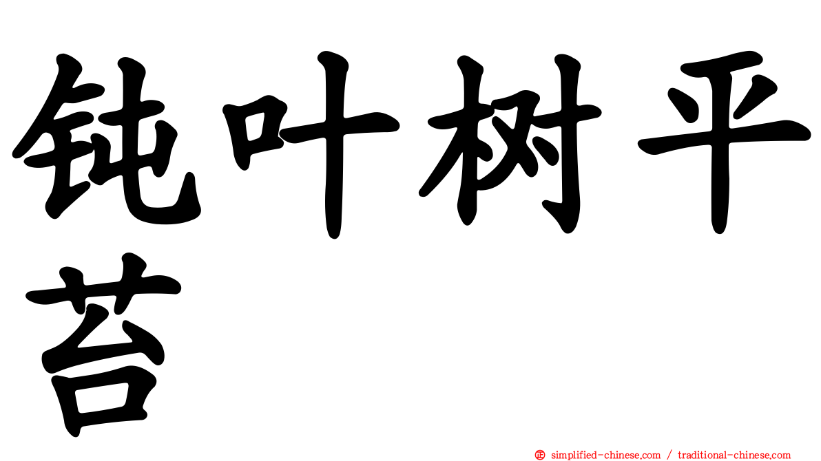 钝叶树平苔