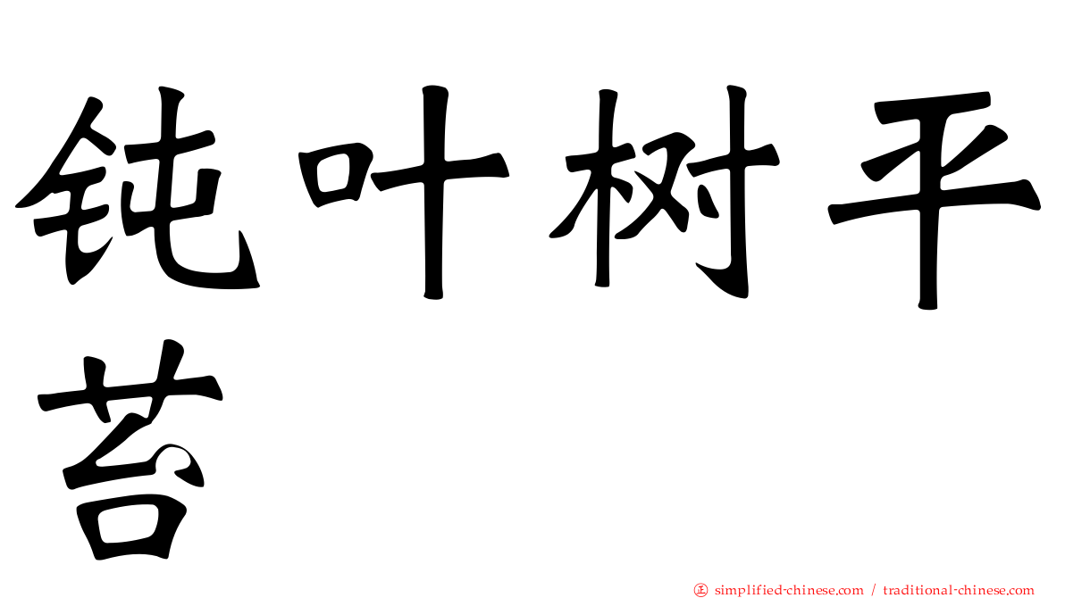 钝叶树平苔