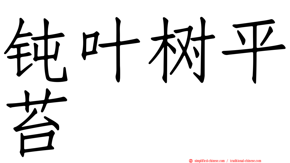 钝叶树平苔