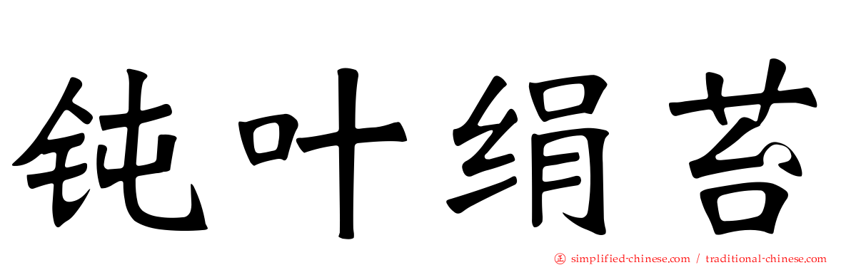 钝叶绢苔
