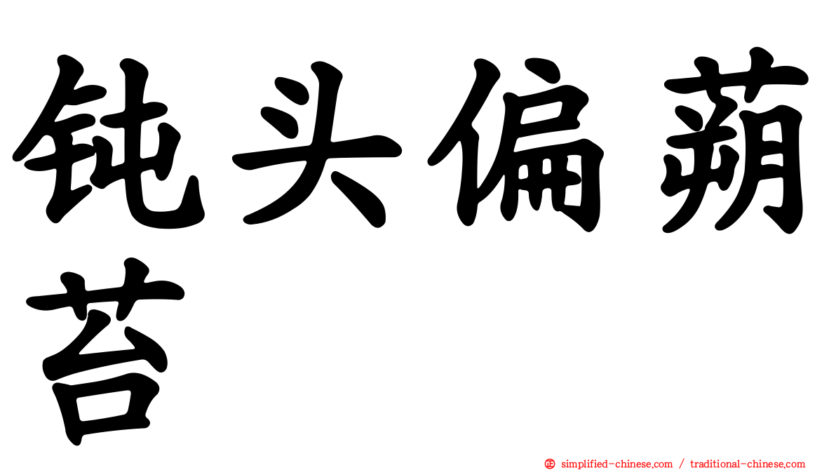 钝头偏蒴苔