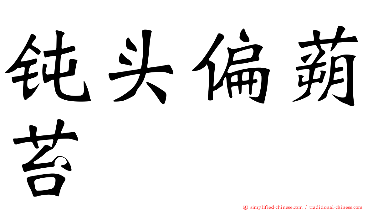 钝头偏蒴苔