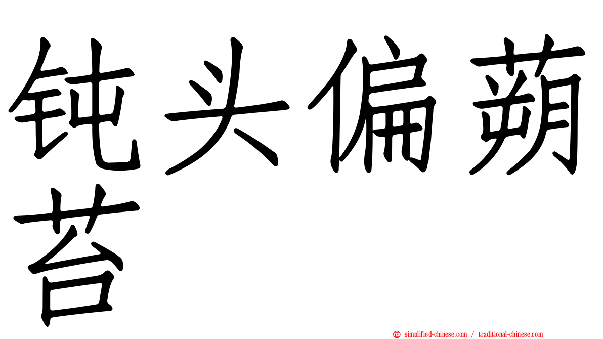 钝头偏蒴苔
