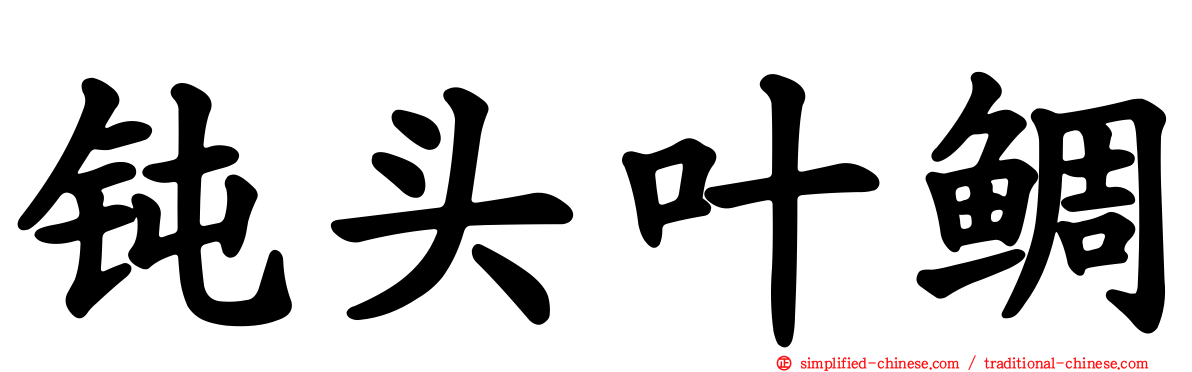 钝头叶鲷