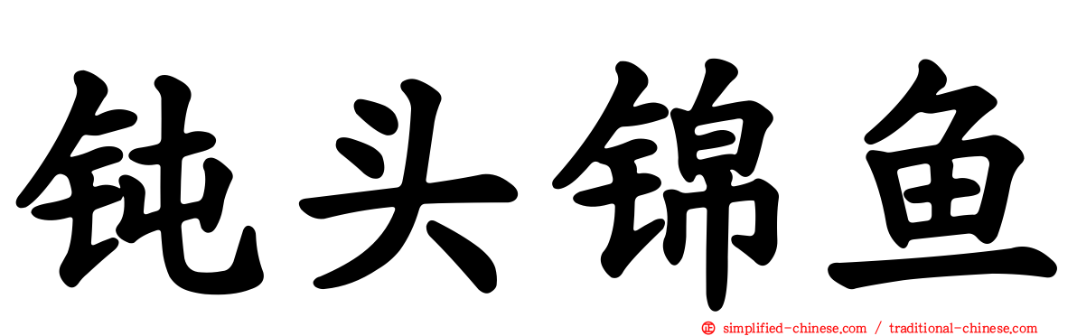 钝头锦鱼