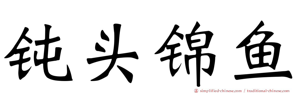 钝头锦鱼