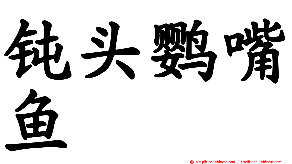 钝头鹦嘴鱼
