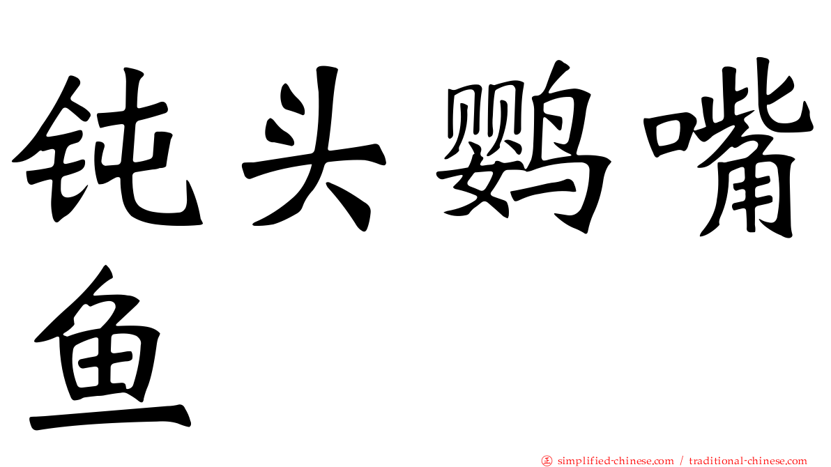 钝头鹦嘴鱼