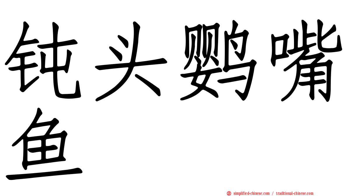 钝头鹦嘴鱼