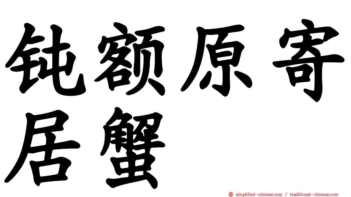 钝额原寄居蟹