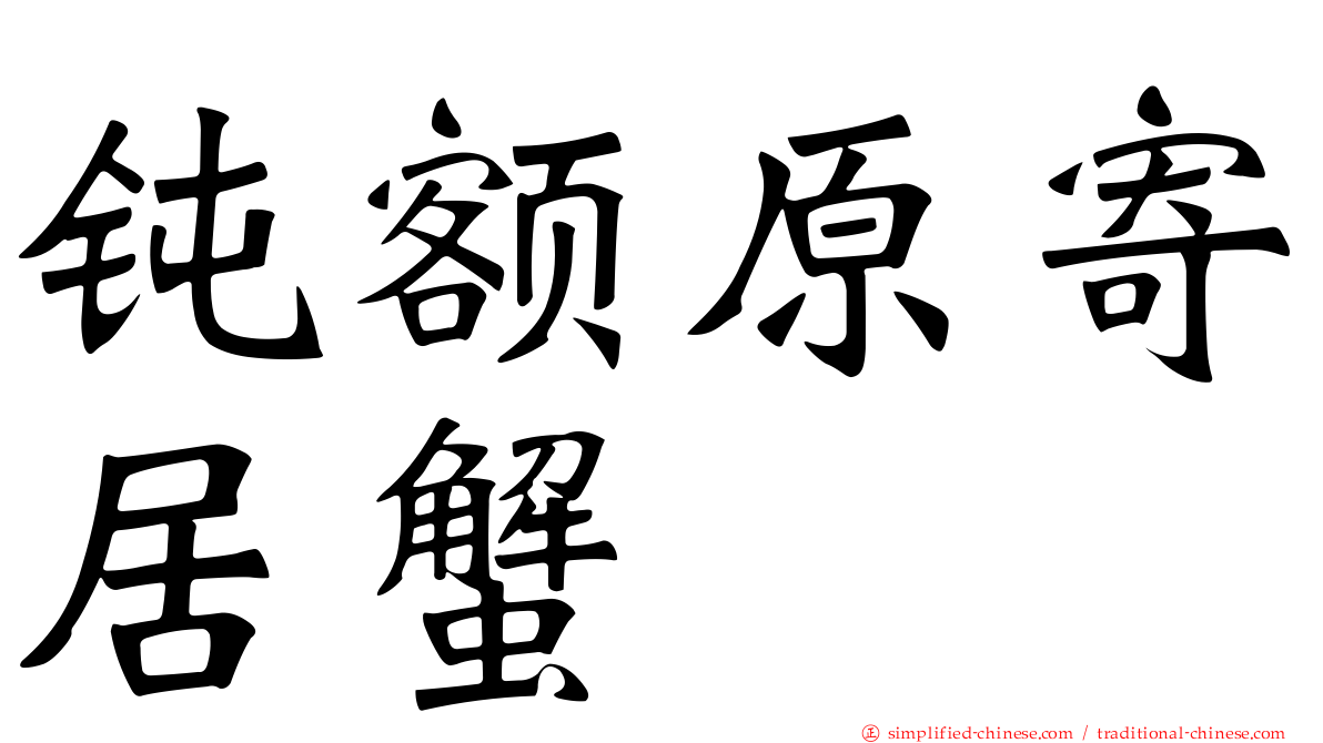 钝额原寄居蟹