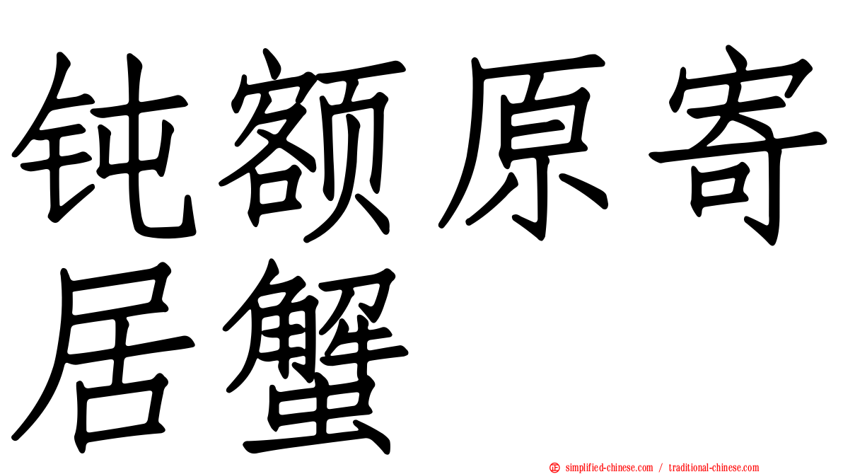 钝额原寄居蟹
