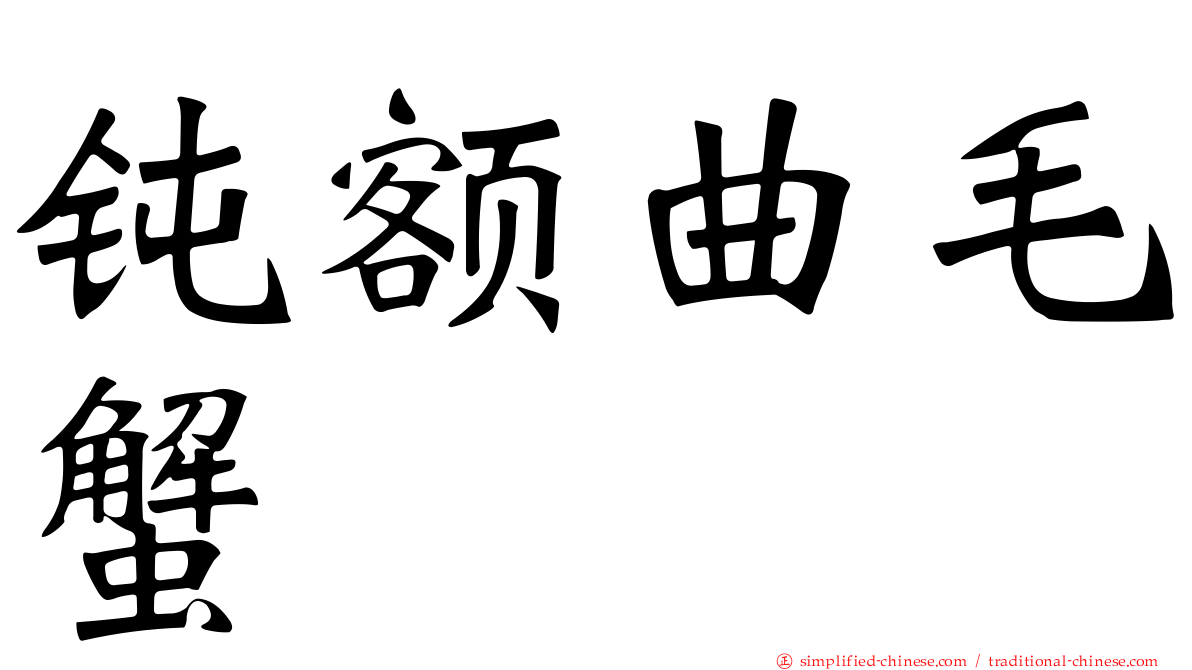 钝额曲毛蟹
