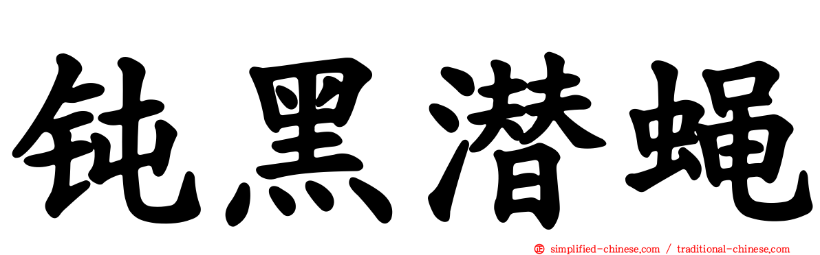 钝黑潜蝇