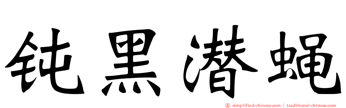 钝黑潜蝇