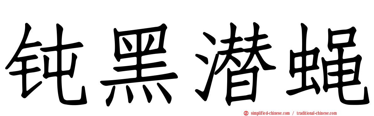 钝黑潜蝇