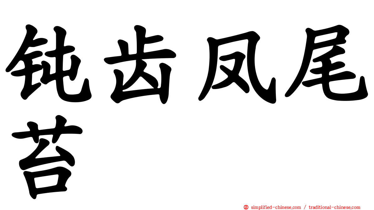 钝齿凤尾苔