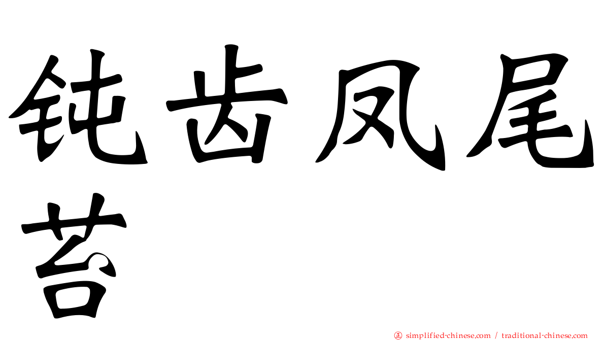 钝齿凤尾苔