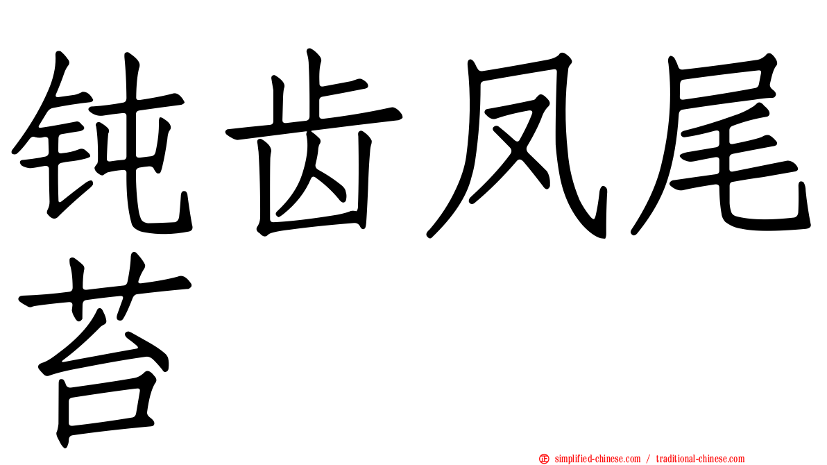 钝齿凤尾苔