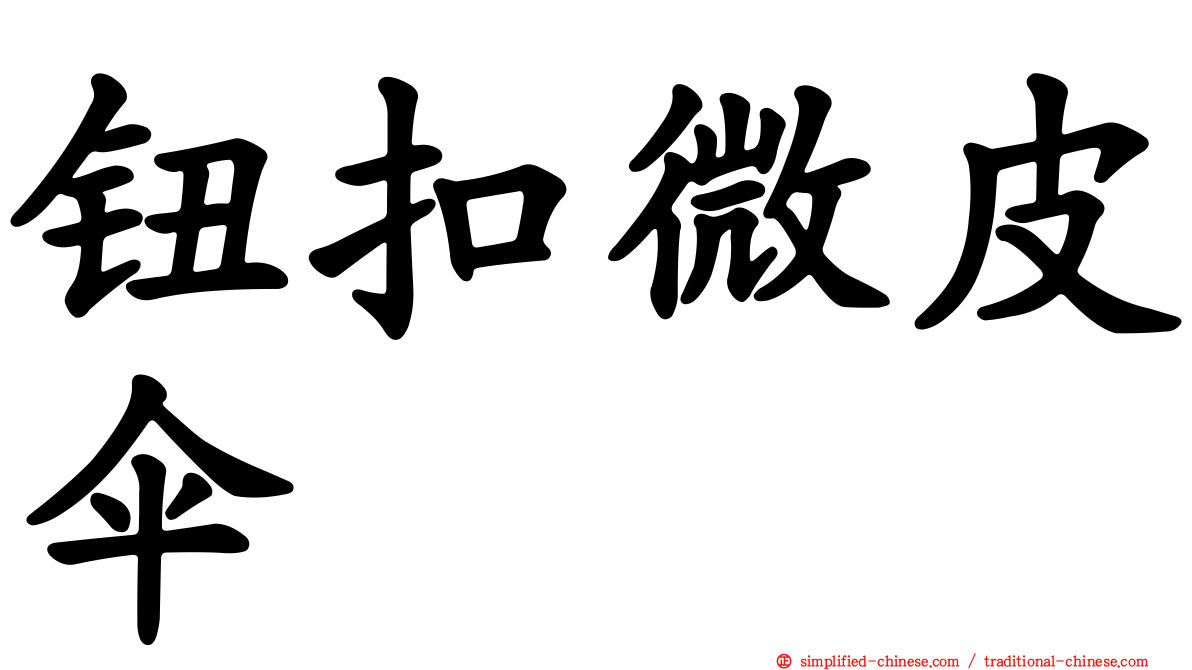 钮扣微皮伞