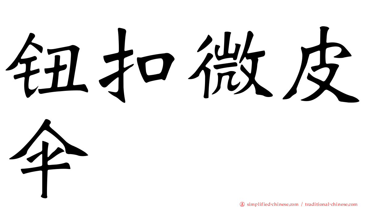 钮扣微皮伞