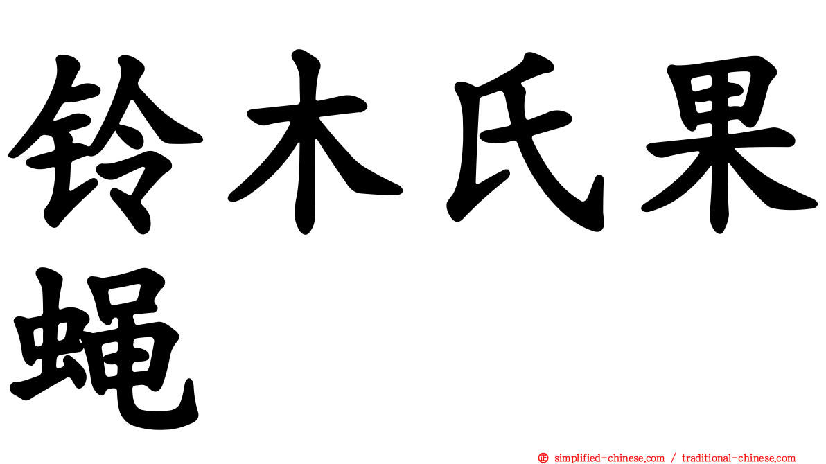 铃木氏果蝇