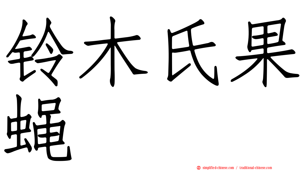 铃木氏果蝇