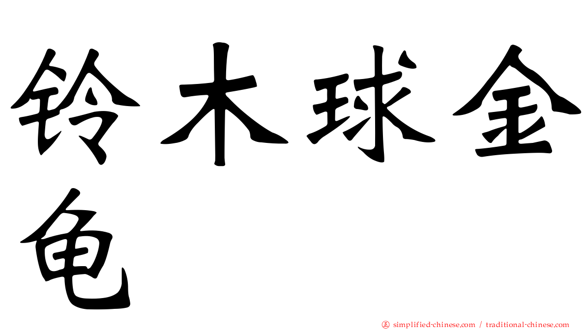 铃木球金龟