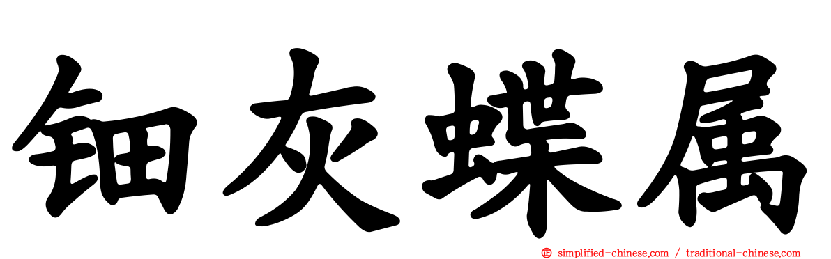 钿灰蝶属