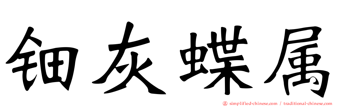 钿灰蝶属