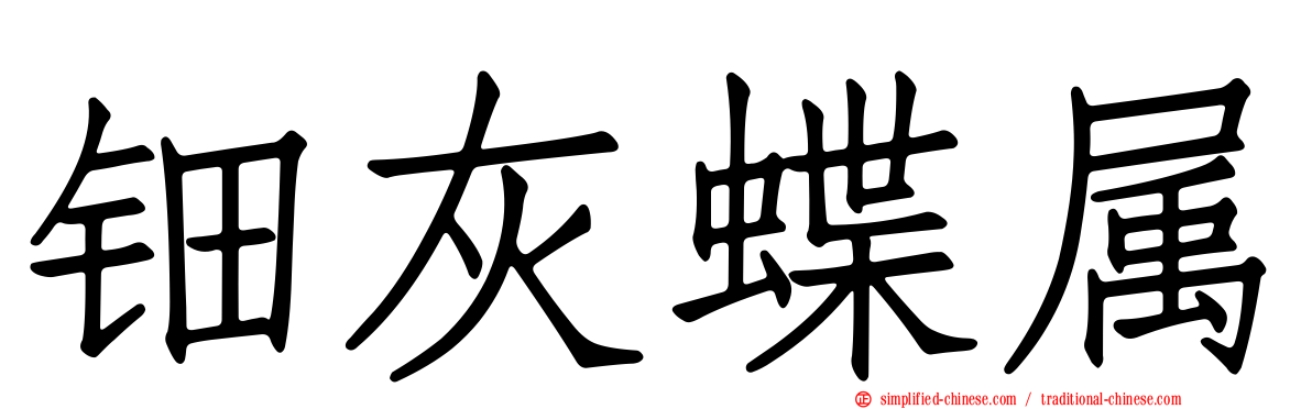 钿灰蝶属