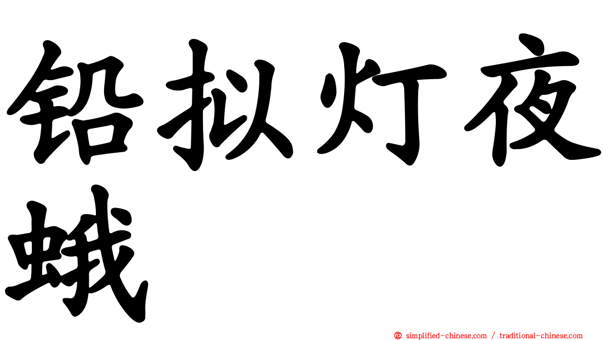 铅拟灯夜蛾