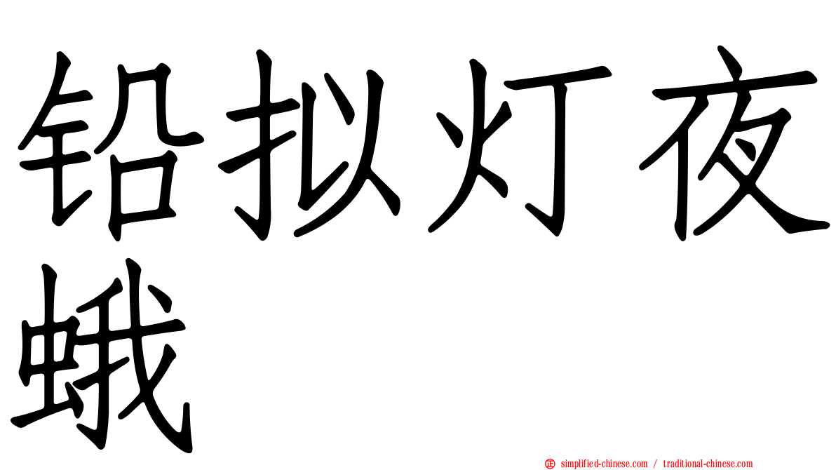 铅拟灯夜蛾