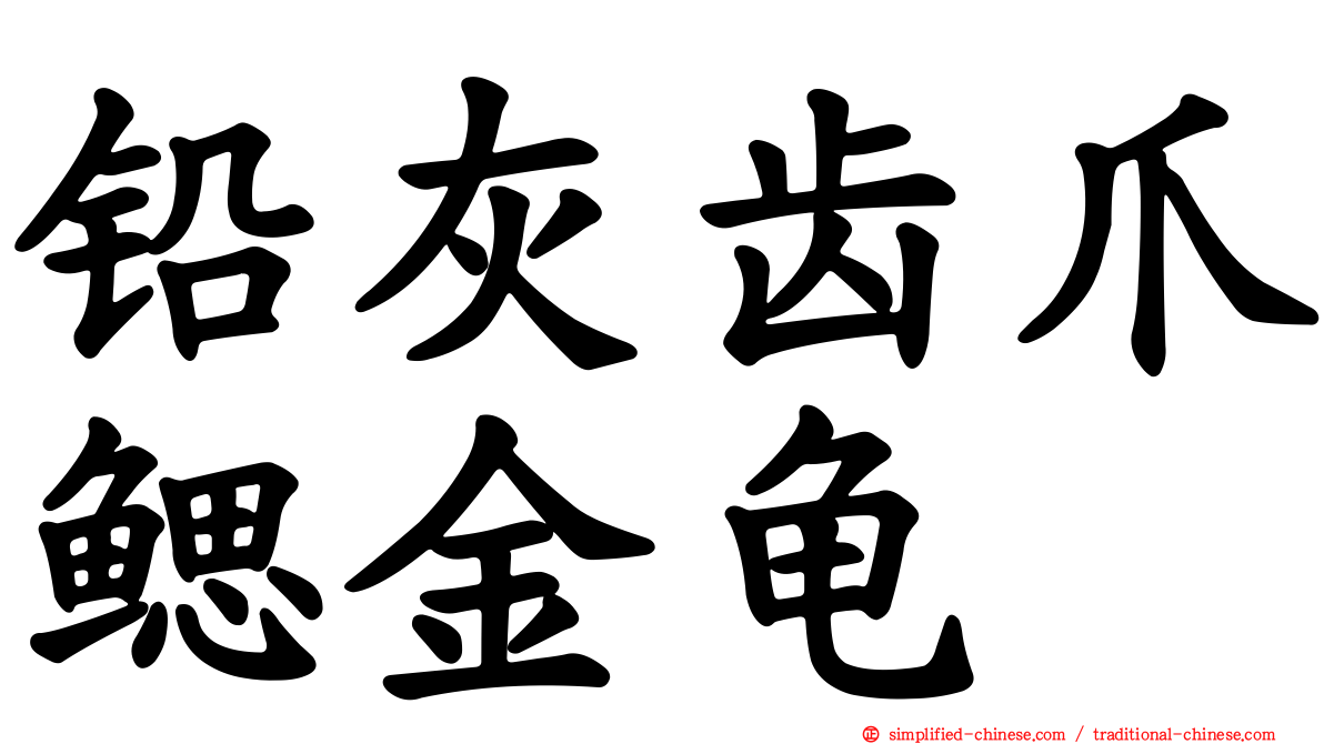 铅灰齿爪鳃金龟