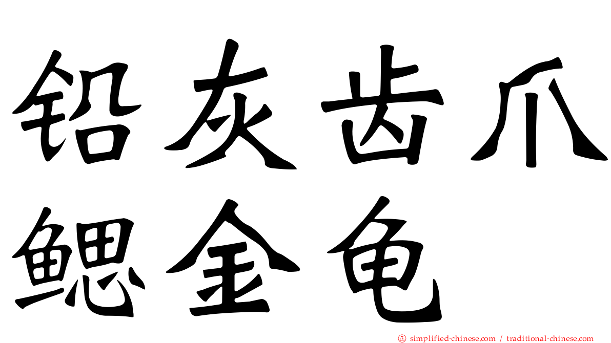铅灰齿爪鳃金龟