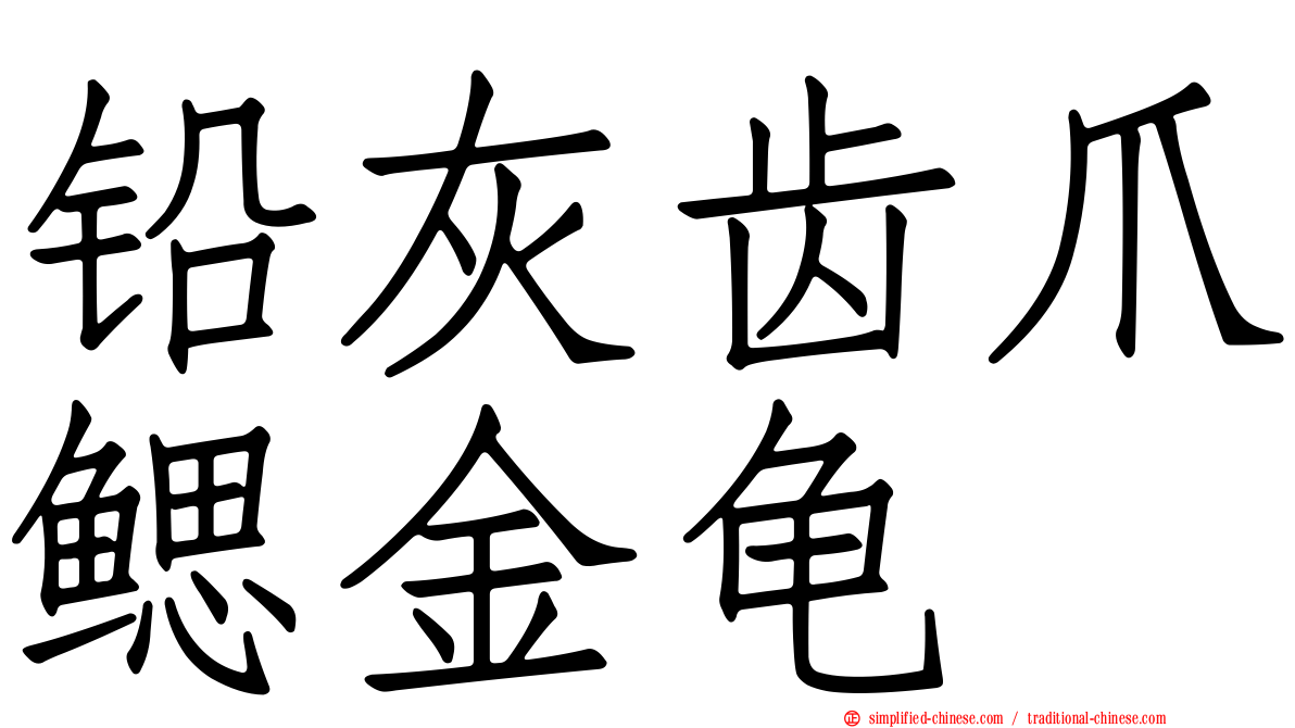 铅灰齿爪鳃金龟
