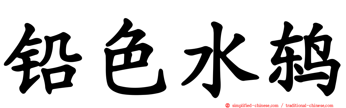 铅色水鸫