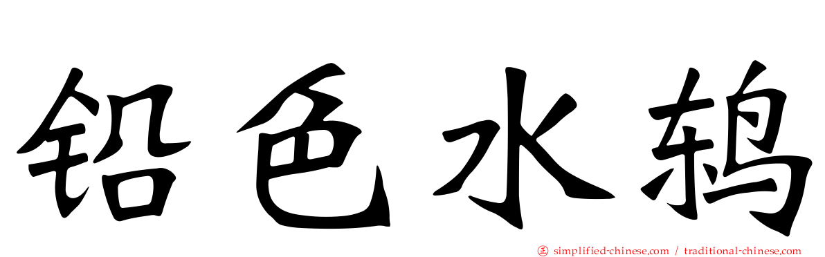 铅色水鸫