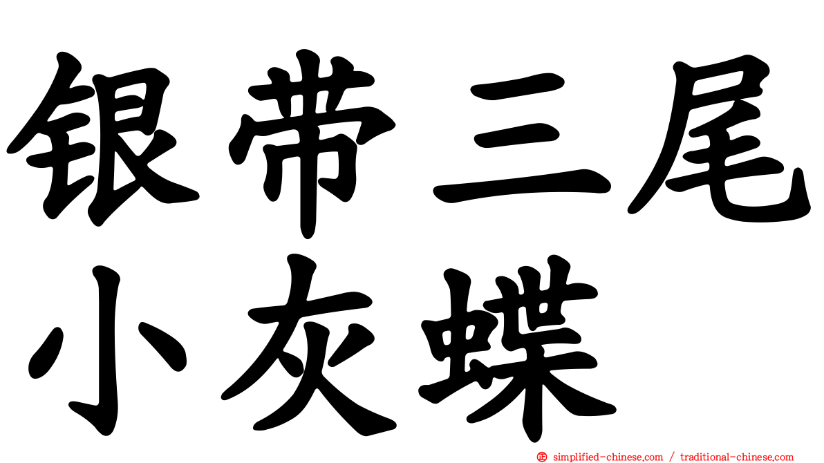 银带三尾小灰蝶