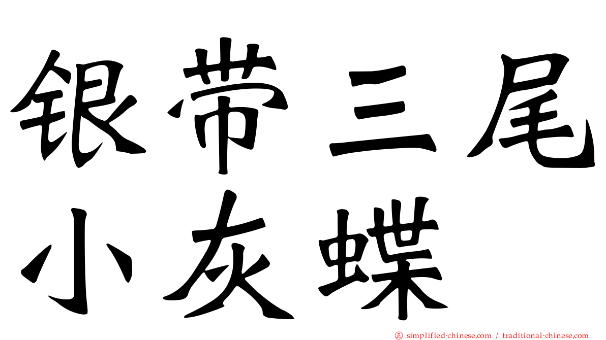 银带三尾小灰蝶