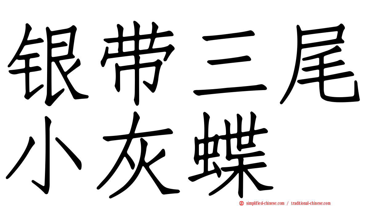 银带三尾小灰蝶