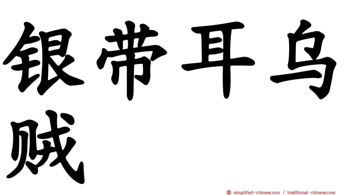 银带耳乌贼
