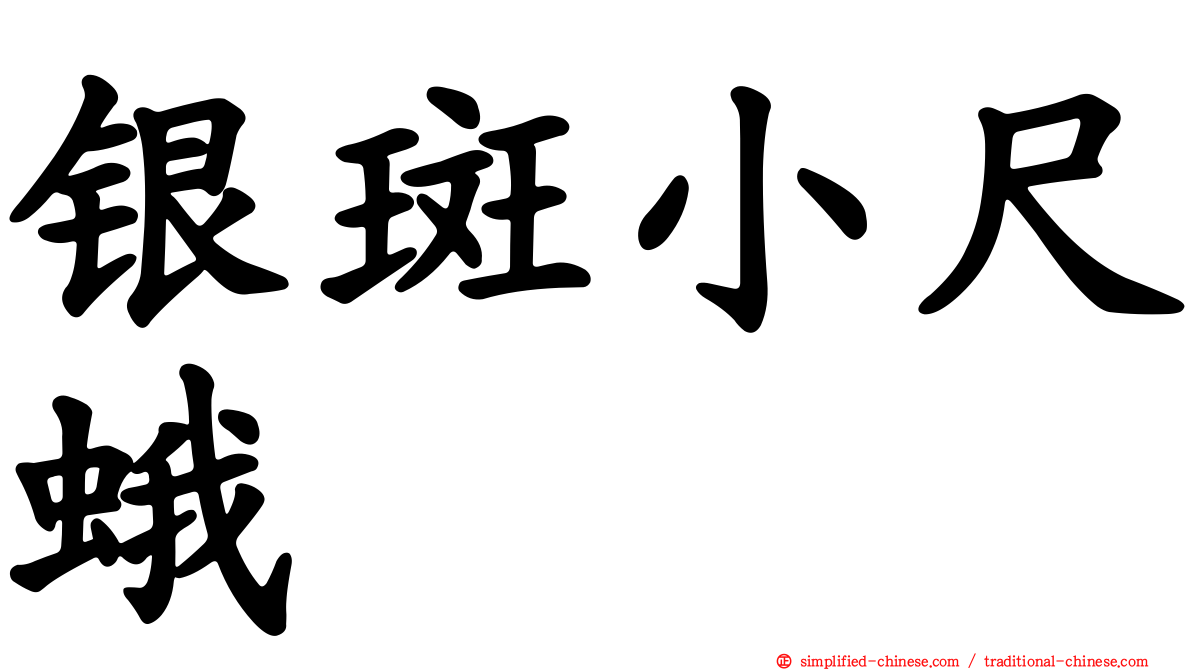 银斑小尺蛾